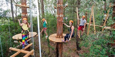 treetops gosford|TreeTop Adventure Park